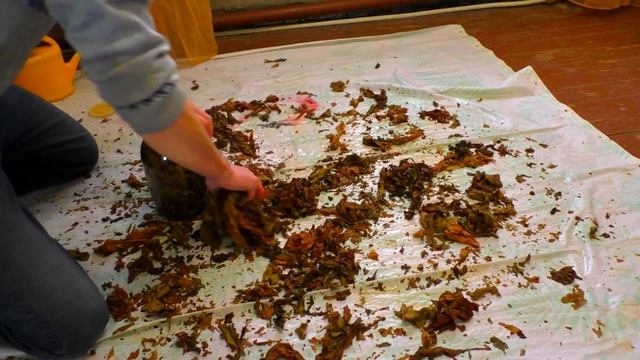 Ферментация табака в домашних условиях,как,зачем и почему. смотреть онлайн