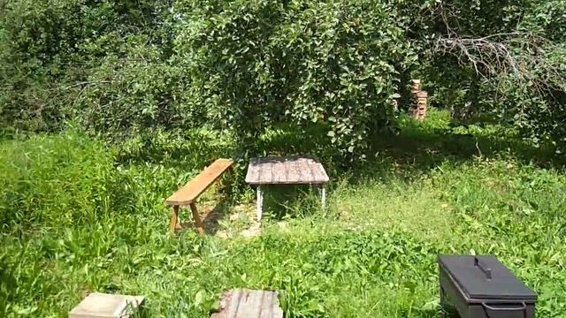 Жара. Нарезаем черенки дербенника. смотреть онлайн