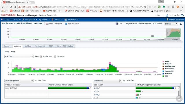 OCP 12c Using Performance Enhancements in Oracle 12c 14 смотреть онлайн