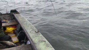 Ловля сома с лодки