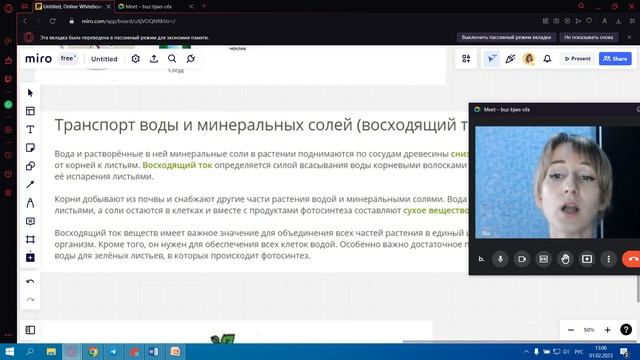 Восходящий ток веществ смотреть онлайн