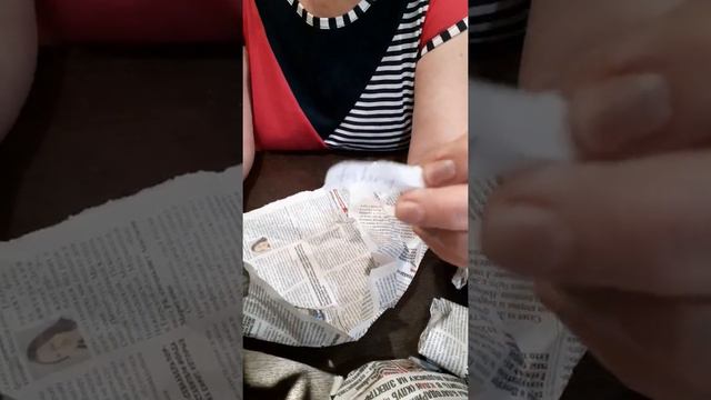 Сасевиерии из Индонезии. смотреть онлайн
