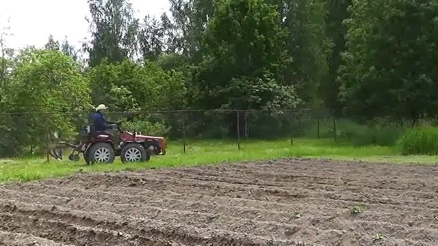 Первое окучивание 06 06 21 г МТЗ 132. смотреть онлайн