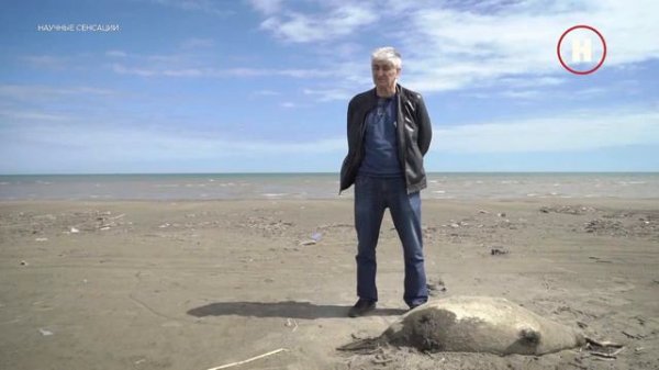 Самое загадочное море - Каспийское (2023)