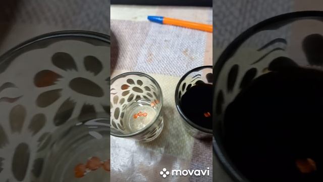 3 СПОСОБА ОБРАБОТКИ СЛАДКОГО ПЕРЦА КАКАДУ. ОГОРОД НА КУБАНИ. shorts# смотреть онлайн