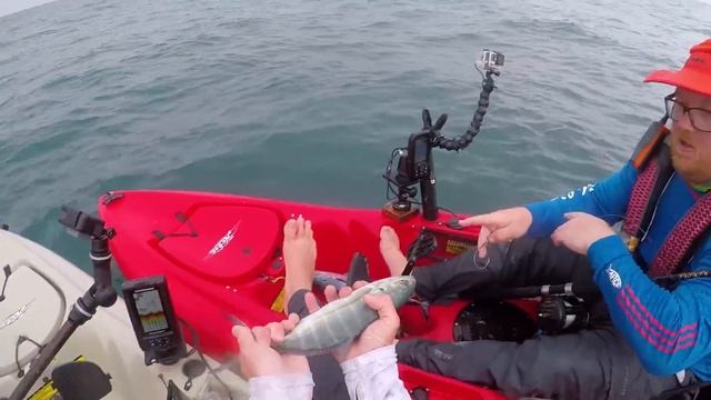 How to Catch Big Fish Offshore from Kayaks | Field Trips Panama | Field Trips with Robert Field смотреть онлайн