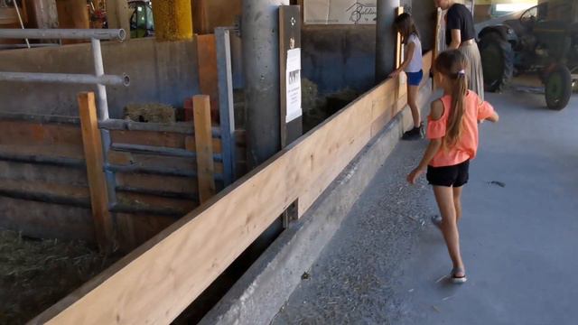 Как выглядит ферма в Германии/ сезон тыквы