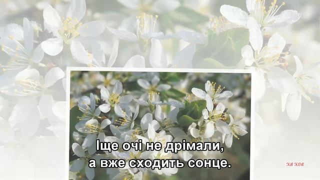Цвiте терен - Пелагея и Вероника Сыромля (15-05-2018) (Subtitles) смотреть онлайн