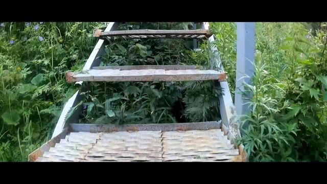 Радоновые источники в Алматы смотреть онлайн