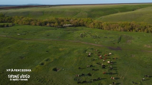 Аэросъемка.с.Елховка.Елховский район. Самарская область. Cinematic [2K] Drone film. Stuck In A Drea смотреть онлайн