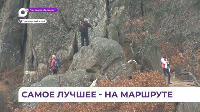 Новый туристический маршрут «Приморский микс» проходит аккредитацию смотреть онлайн