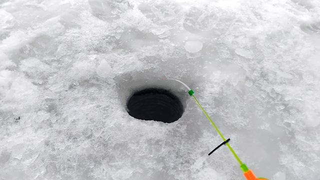 Поклевка плотвы зимой смотреть онлайн