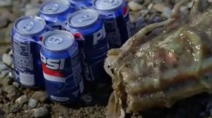 Ужасы Лох-Несса