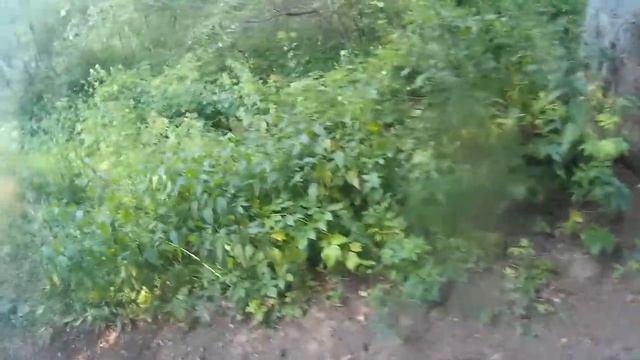 Покатушка в лес на пит-байках смотреть онлайн