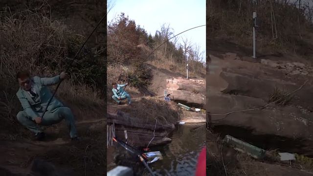 冬天照样钓青鱼，天越冷鱼越肥！几条大青直接连竿！【吴天宇爱钓鱼】 смотреть онлайн