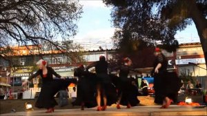 Grupo de baile Jarana Feria de Abril Can Parellada 2014 3