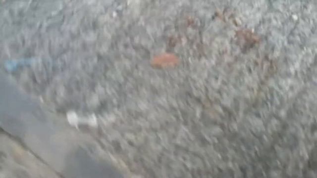 KOTOVLOG. Как спят Соня и Пушок смотреть онлайн