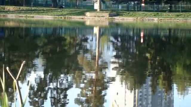 Рыбалка сегодня смотреть онлайн