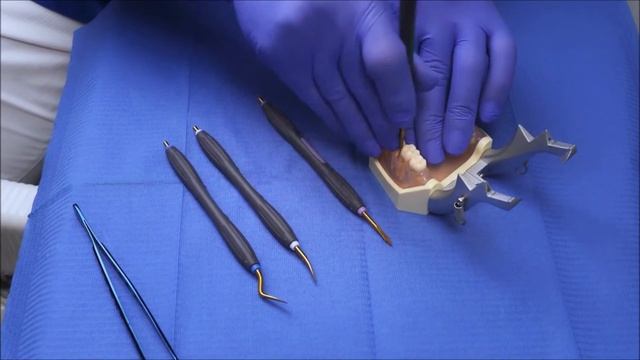 ES How to use - Luxator & Luxator P Series Extraction Workflow with Dr Manouchehr Kiaei смотреть онлайн