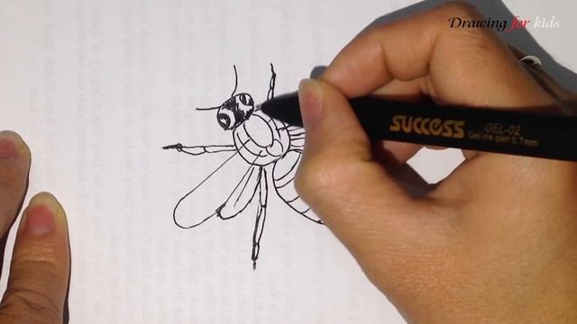 How to Draw a Fly | Fly drawing смотреть онлайн