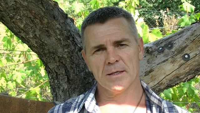 Молочный раствор против милдью смотреть онлайн