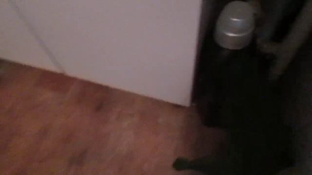 Как избавиться от тараканов навсегда и сороконожек,простой природный способ. смотреть онлайн