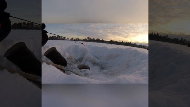 2020 Зимний Сезон закрыт. Рыбалка ХМАО Сургут. смотреть онлайн