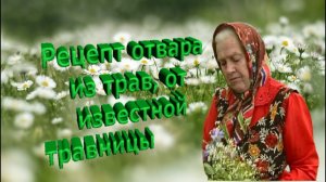 Чудодейственный отвар из трав от известной травницы