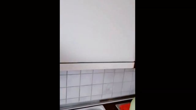 Приятный отзыв от семьи! Хамельн.Hameln.Первое жилье в Германии. Украинским беженцам помогают ВСЕ смотреть онлайн