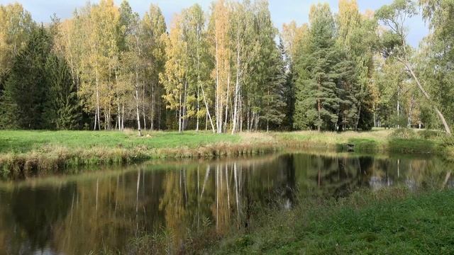 Pavlovsky Park - Golden Autumn Sightseeing Tour