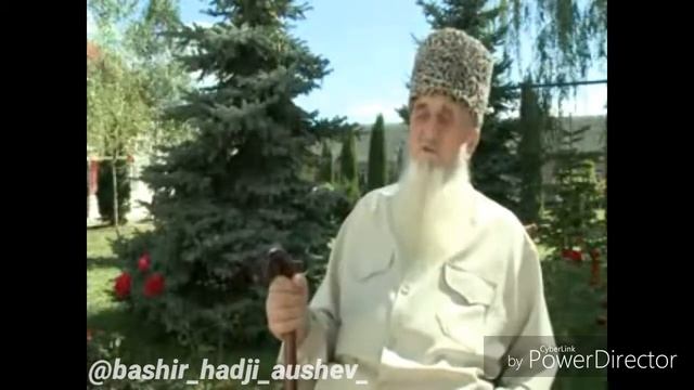 Аушев Магомет смотреть онлайн