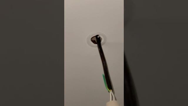 Мышь на потолке квартиры в Переделкино Ближнее смотреть онлайн