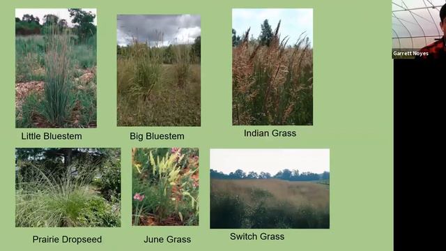 Benefits Of Native Plant Gardening