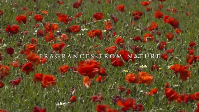 Film Durance - натуральные ароматы ДЮРАНС смотреть онлайн