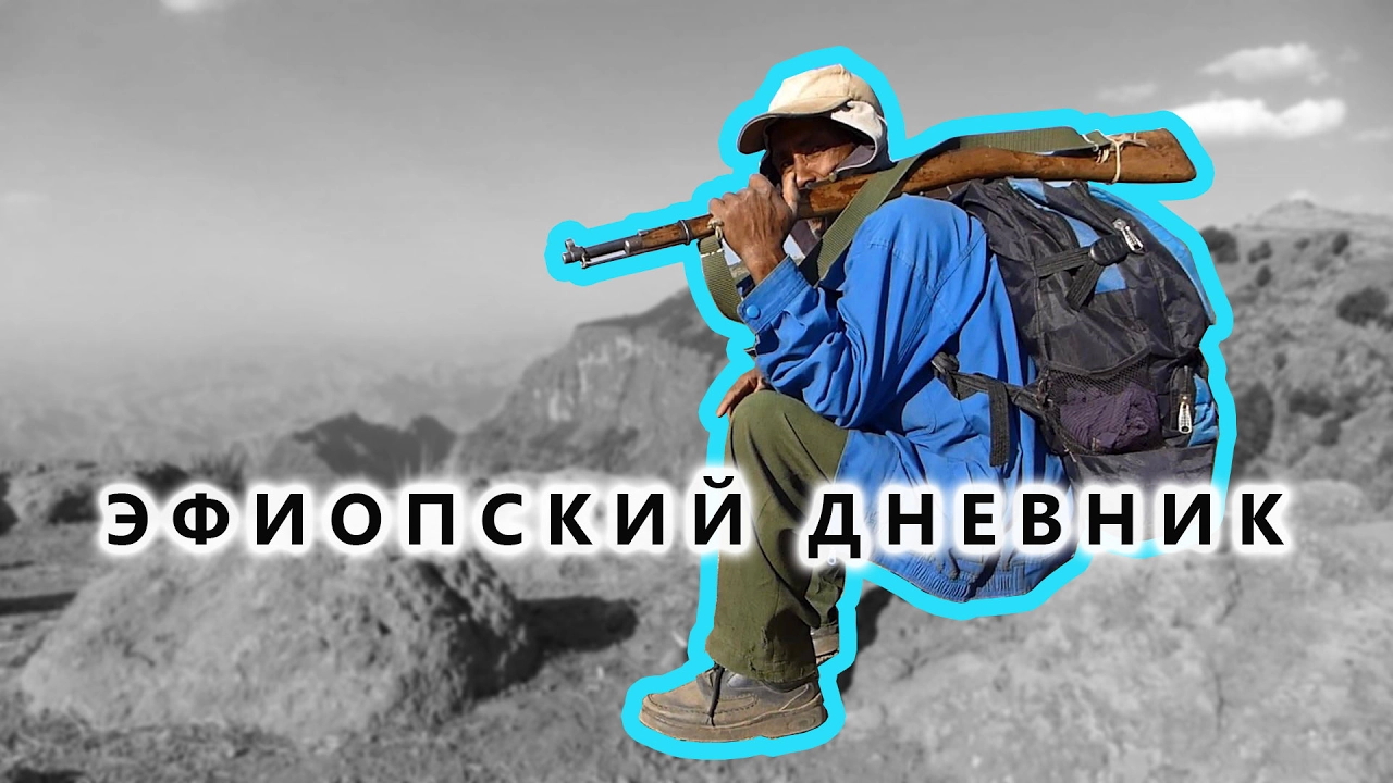 Эфиопские горы Сымен: бабуины-гелады и как варить вкусный кофе - Эфиопский дневник №07