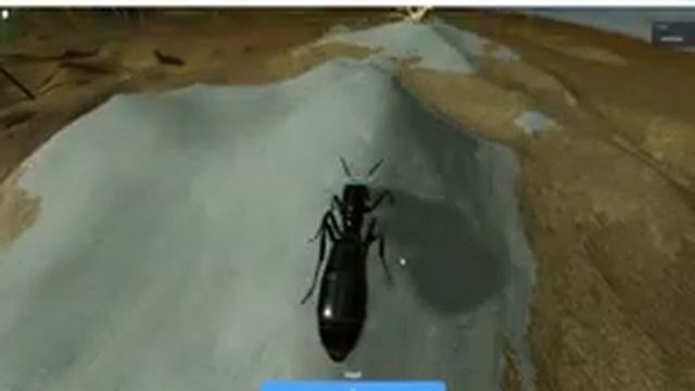 How to gain protein fast (ROBLOX ANT LIFE) смотреть онлайн