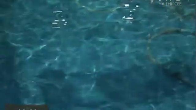 Прямое включение. Цирк на воде (Часть 2) смотреть онлайн