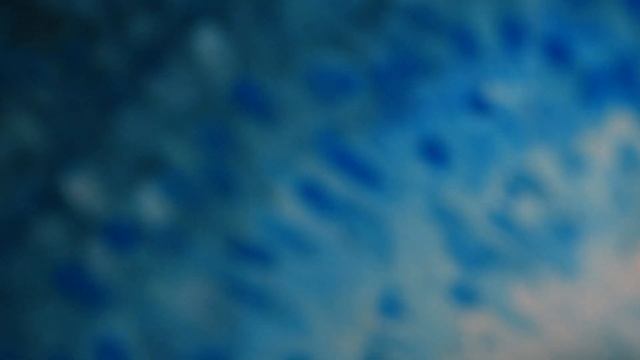 #34 Chase Bliss Audio - Blooper - Bloop Session: Vol.1