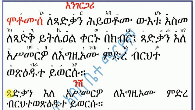 #የአንገርጋ ንሽ #ዘነሐሴ ተክለ ሃይማኖት፡ #ጻድቃን #Ye Angari Nish #Ze Nehasie Tekle Haymanot смотреть онлайн