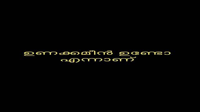 ഇഷ്ട്ടപെടുന്നവരെ കൂടെ കൂട്ടുക ♥️always be your version ✨ #music #flute #malayalam #motivation #love смотреть онлайн