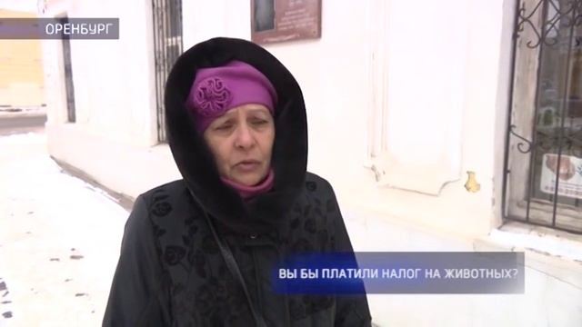 Опрос: нужно ли ввести налог на домашних животных? смотреть онлайн