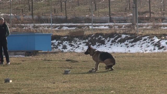 Афродита ОКД Гор сор 13 11 21 финал