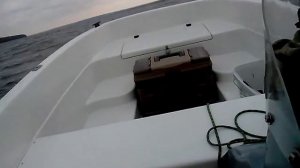 Кайман 350 на волне