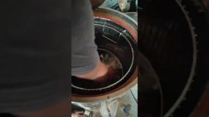 #3 Ganoderma Mushroom Cultivation #MayankNagar #Mushroooms