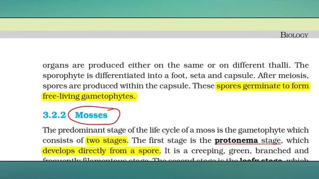Neet Ncert Biology class 11 Plant Kingdom Important Points Quick Revision lecture - Hindi English смотреть онлайн