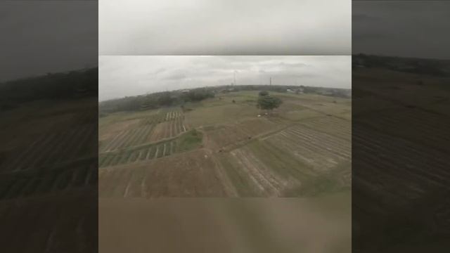 test range TBS Tango 2, 250mw joss смотреть онлайн