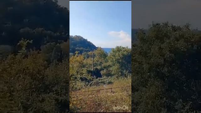 Z1071 смотреть онлайн