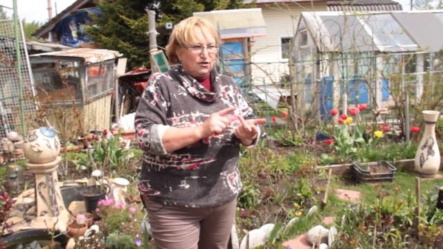 Стимулятор роста растений Арголан Аква - подробная инструкция по применению смотреть онлайн