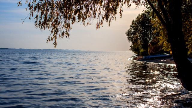 Путешествие к себе смотреть онлайн