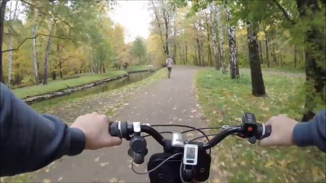 Осенние "Сокольники" (визит к лосям) смотреть онлайн